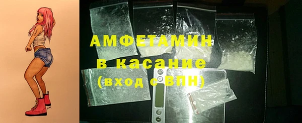 дмт Богданович