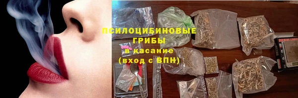 дмт Богданович