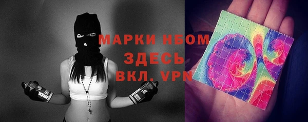 дмт Богданович