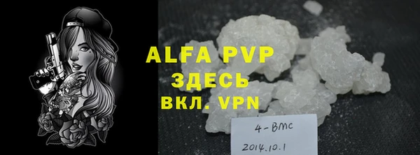 дмт Богданович