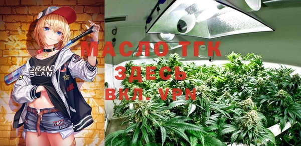 mix Богородицк