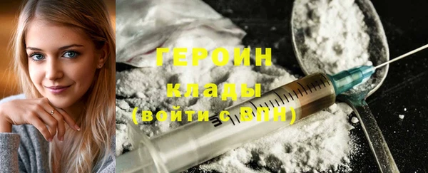 дмт Богданович