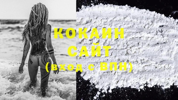 дмт Богданович