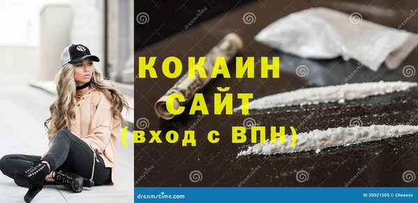 mix Богородицк