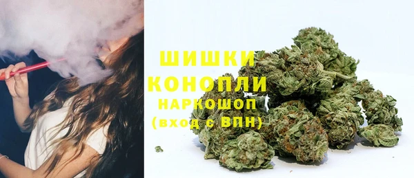 mix Богородицк