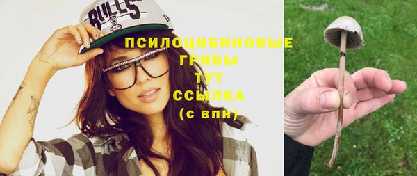 mix Богородицк