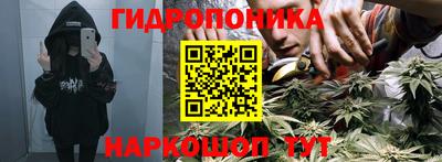 бутират Гусь-Хрустальный