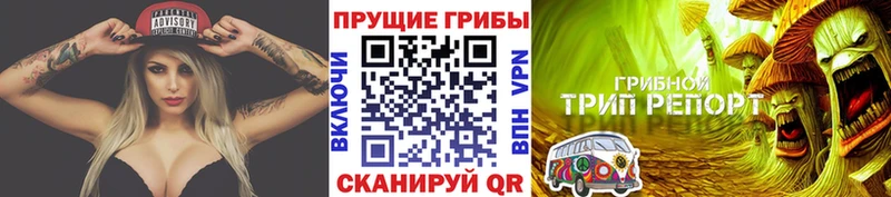 Псилоцибиновые грибы Magic Shrooms  Буйнакск 