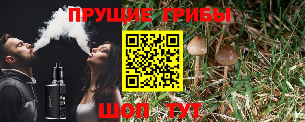 Галлюциногенные грибы ЛСД Буйнакск