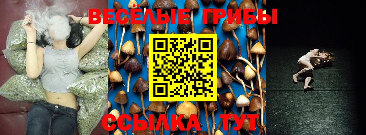 Галлюциногенные грибы Psilocybine cubensis  Псилоцибиновые грибы MAGIC MUSHROOMS  Вход с VPN  Буйнакск 