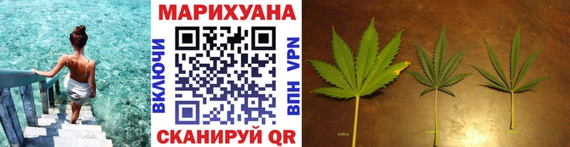 Канабис план  Буйнакск 