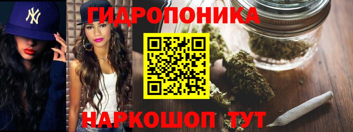 Бошки Шишки план Буйнакск